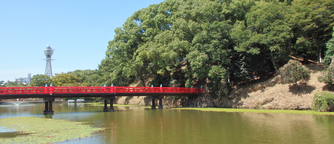 VێRɒPRICyɓosuR߂v