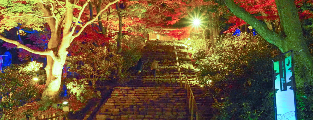 gtCgAbv镧̓ʔqςIޗǁEuaω݂Lv