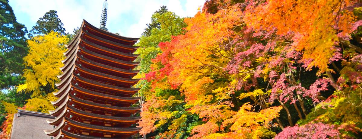 gtƃCgAbvIޗǁukR_Ёv݂Ղ