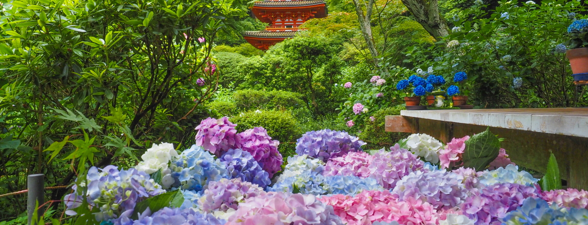 京都・木津川市「岩船寺」