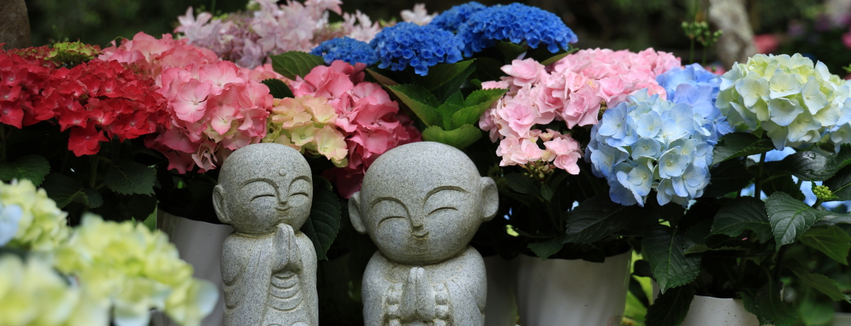 zԂƊ^̋IޗǁEuaωLv