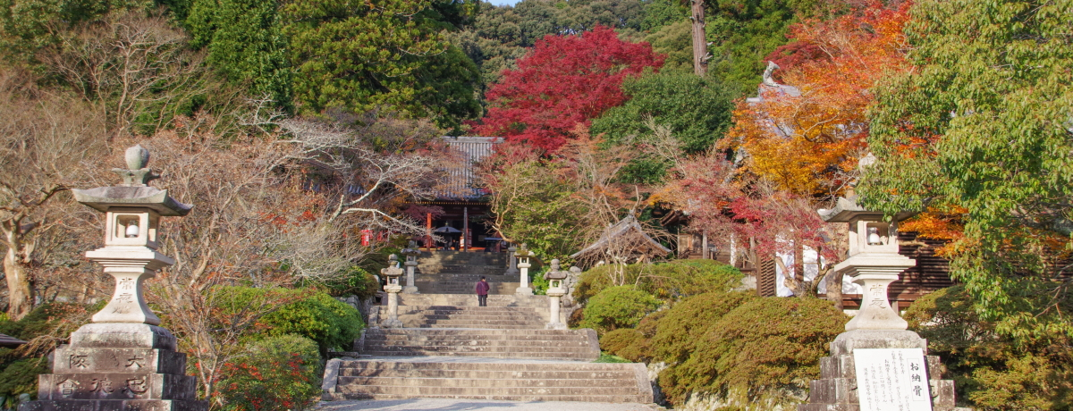 쒩䂩̌ÙIE͓uϐSv͍gt̖