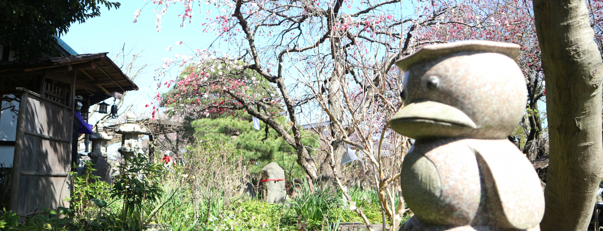 ԂƉ͓ɂق悤I_ސ쌧asu򎛁v