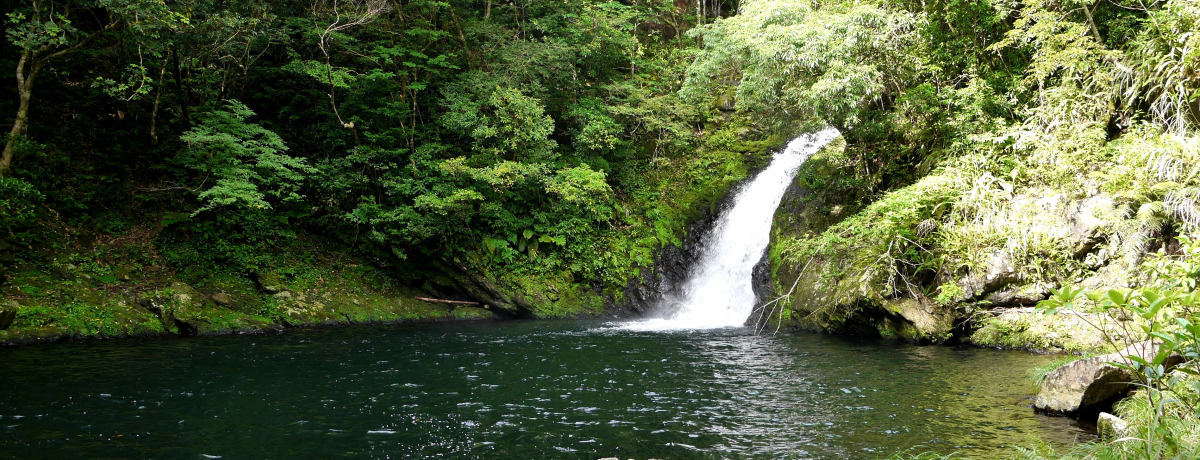 �j������I�����哇�́u�}�e�����̑�v�̓W�����O���̃I�A�V�X