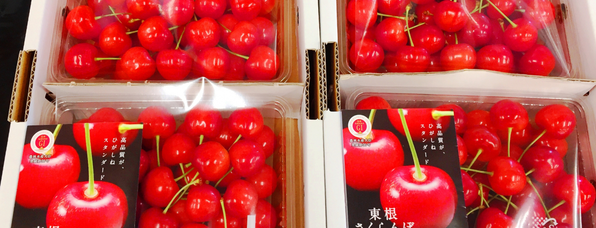 �T�N�����{�̋G�߂ɂ����s�������I�t���[�c�����E�R�`�u����Ă��|�|���v