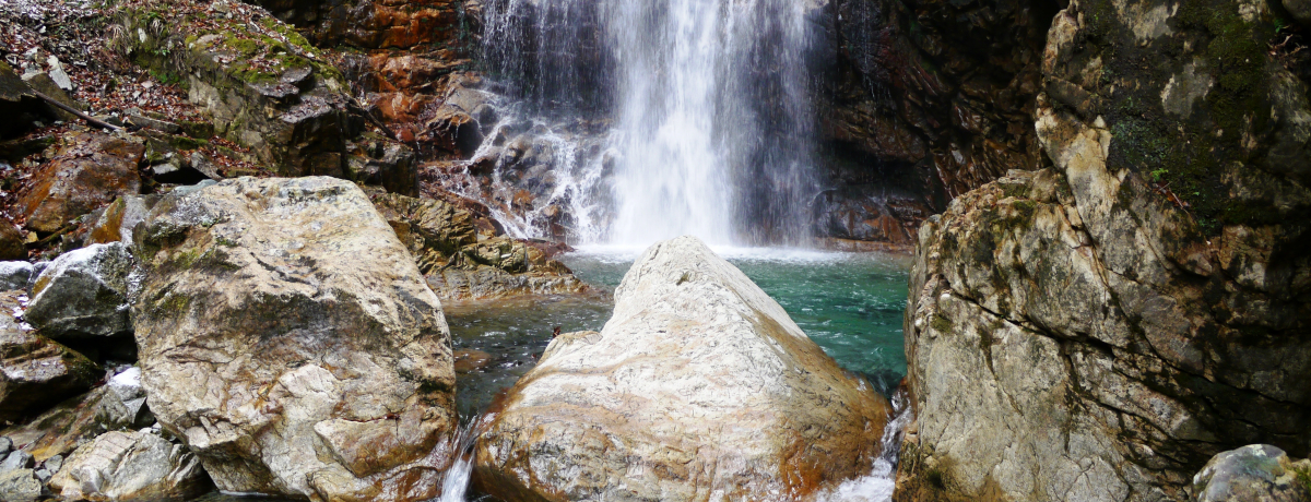 C򂩂ԂłQOIxQ̊򕌌TOIu搭v