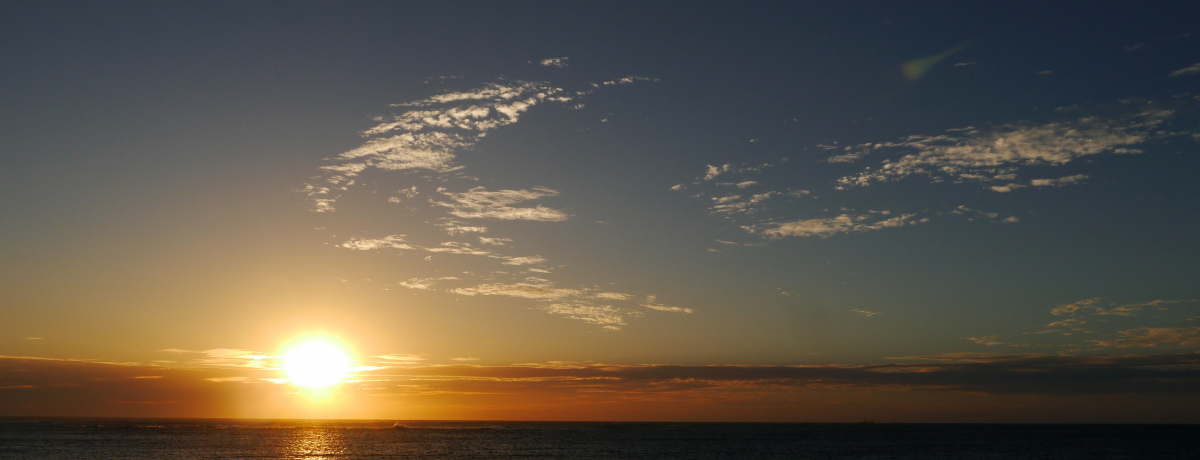 Sk[̐iIp[XdԂ20uReX[r[`v