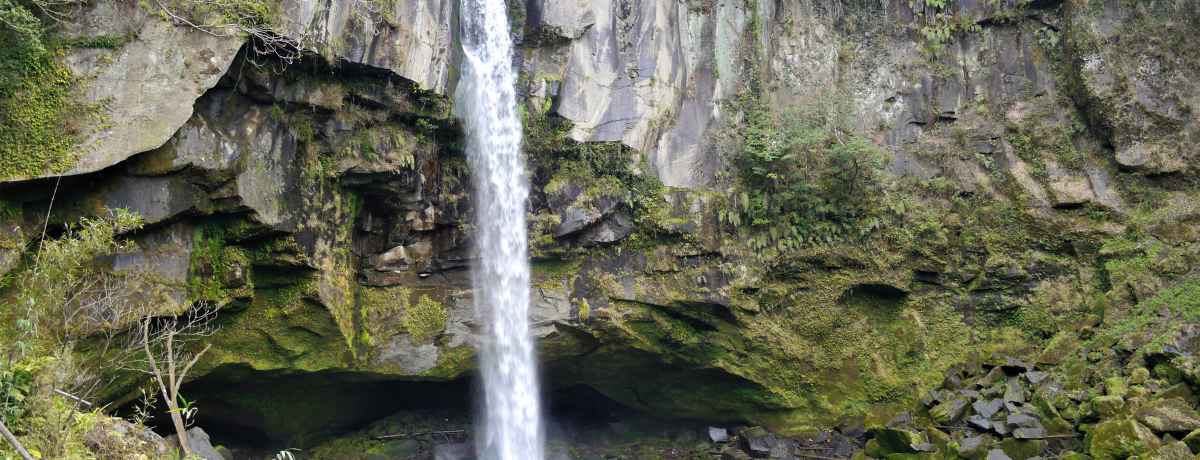 �g�V�������ܕS�i�h���ʁI���n�̂��C�ɓ���̖��e�u������v