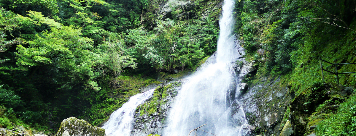 mu[̖EḿukJvŊyސAA`I