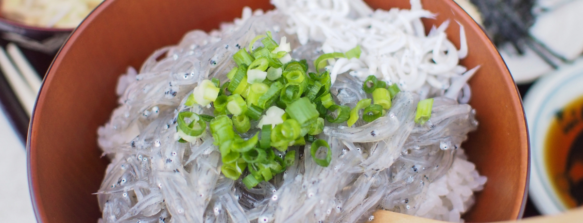 GߌIՌiI˓E剖ÝuVXv͂̂