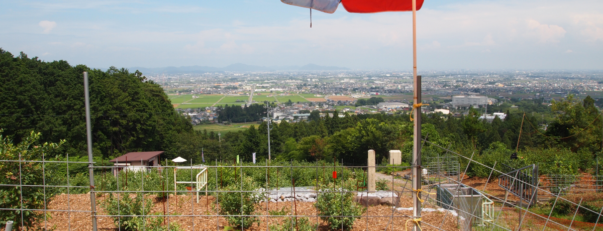 Z삪]łu[x[ŁA30ވȏ̕iHהׁI