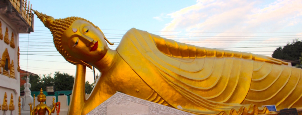 ^C̔鋫Iv[Ai[ŃtHgWFjbNȎ@