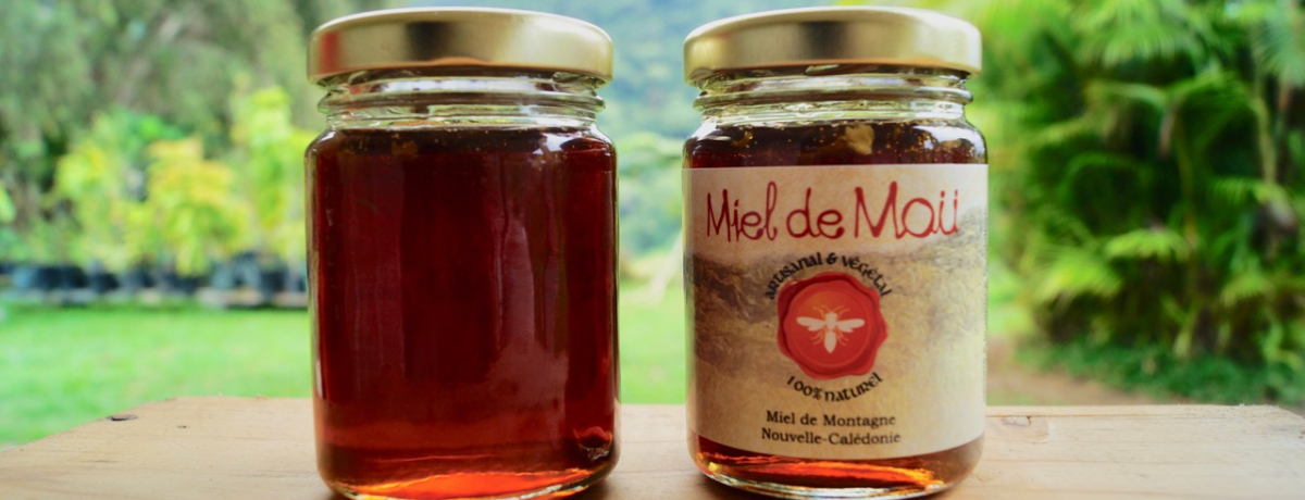 j[JhjA̎RMbVIyYɂߐ݂͂