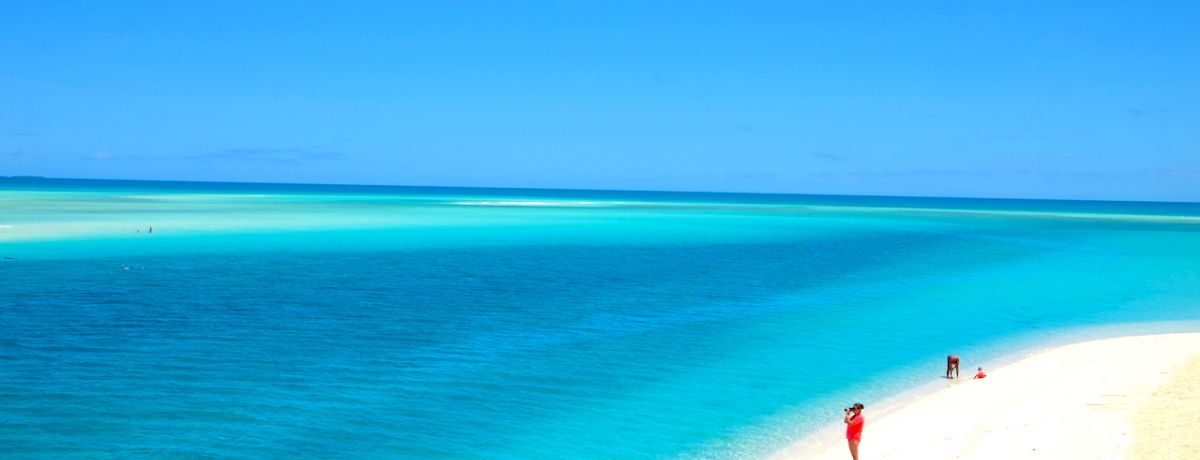 �j���[�J���h�j�A�̗����u�E�x�A���v�Ő̐�i�ɓM���