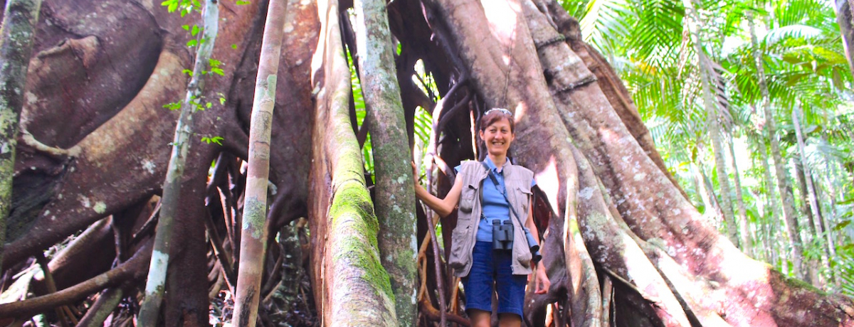 ̎͗΁Ij[JhjA̔MщJсAV_̐XŃgbLO