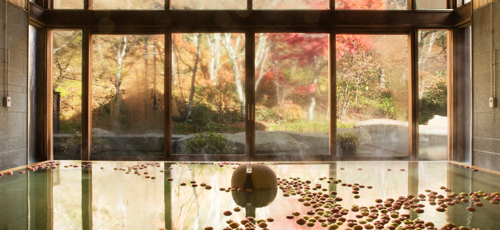 2017gt͂Buy򐯖GAvł5̂