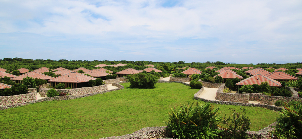 û|xvŃp[`[WIBꖳ̍][gƂ