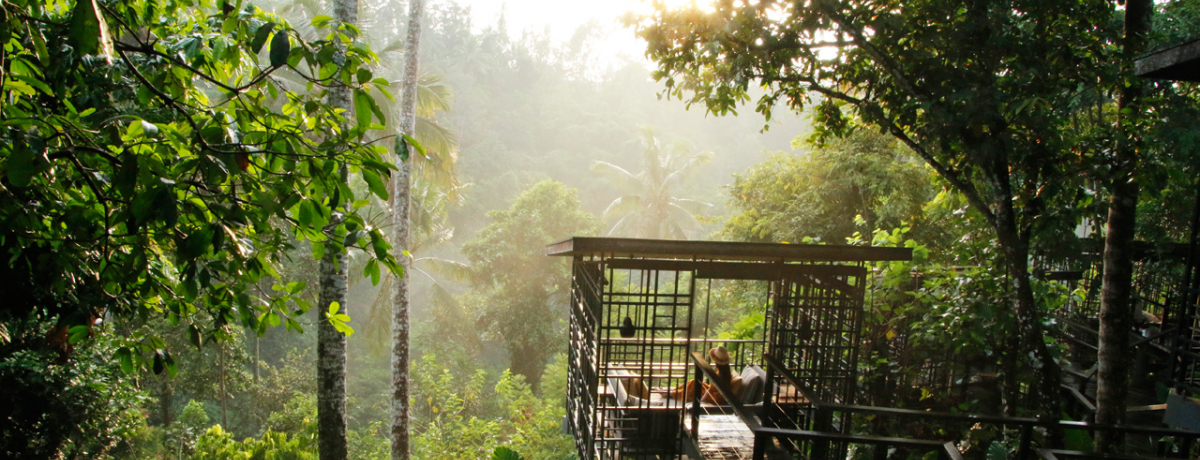 ���̂�o���́A�����̊y���B���s�������C�O���샊�]�[�g