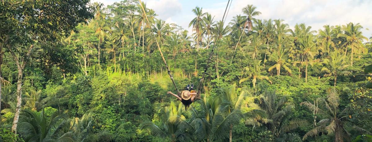 o̐iuRƃRsEAbNꏏɁIE}EpPŌό