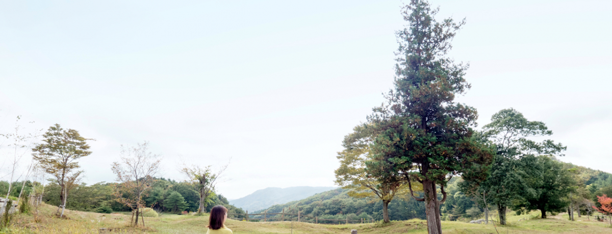 V̒ Vn͏̋삯ݎBLCɂȂ邨e