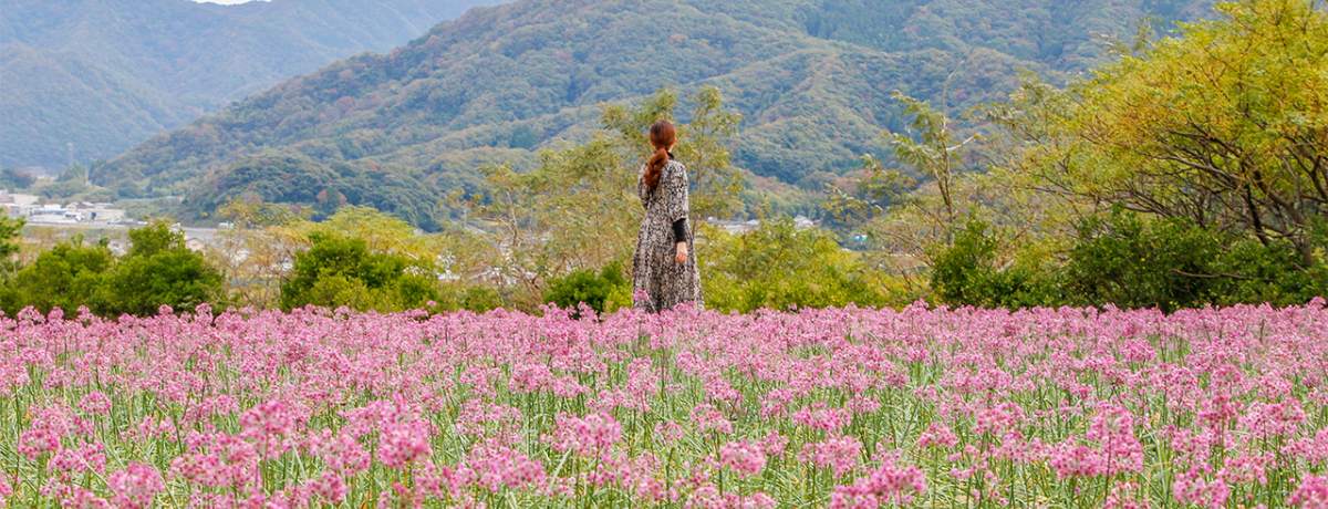 揗q23fR[XI`̓Ɛi喞i