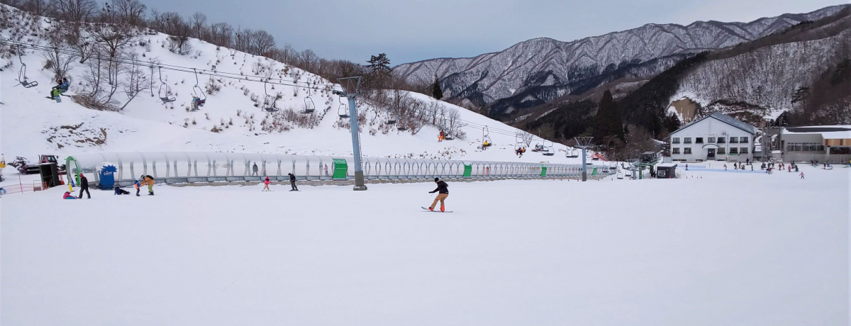 ꌧuOXm[ɐvS҂S̐lCQfI