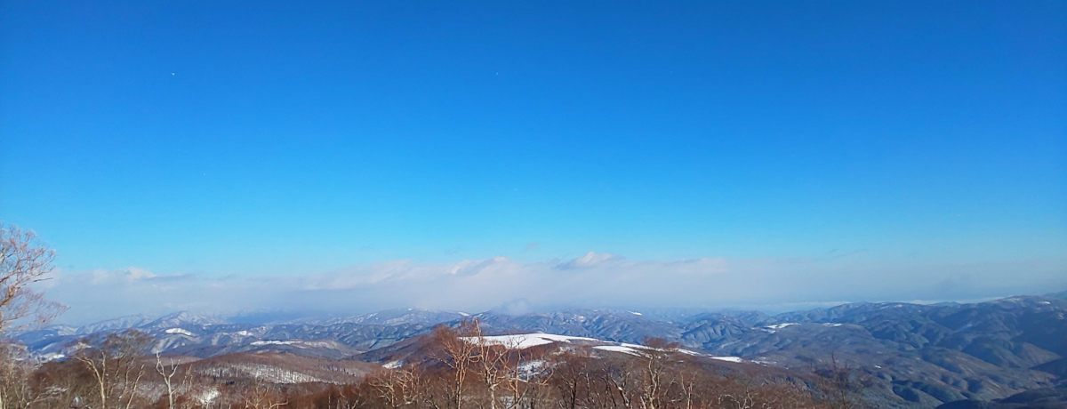 򕌁u߂قXL[vS҂łyIiO