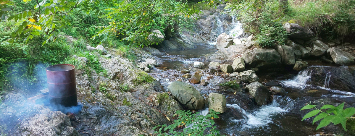 ���Ɂu���˂݌k�J�L�����v��v�`���͂��������I�R�̃L�����v��