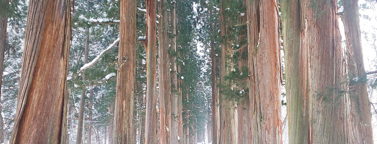 uˉB_Ё@ЁEЎQv~sIɕ܂_