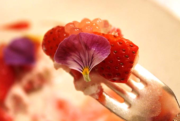 SNSfIuHׂA[gvUEbcEJ[g