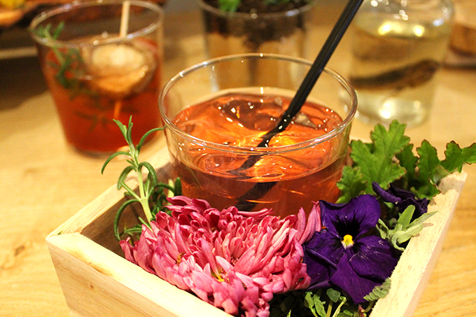 ςȃze S֋5̃|CgƃtFJNe