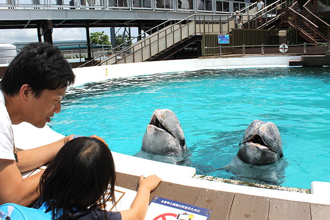 a̎R։ƑsIp_ȂIAhx`[[h