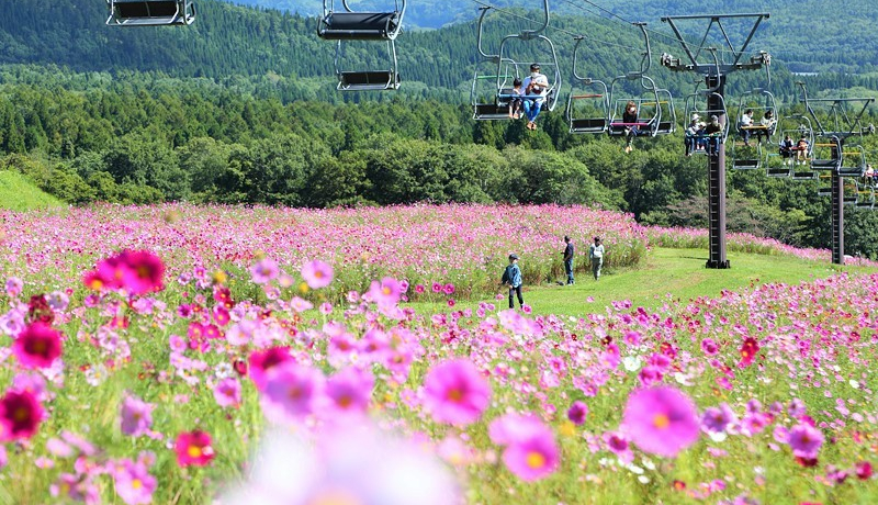 R̒ŗVڂIuPGREEN GARDENvɐVȉOVуGAo