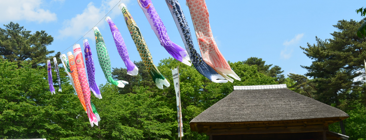 S[fEB[Nɂނ̌It[̂ނut̂܂v