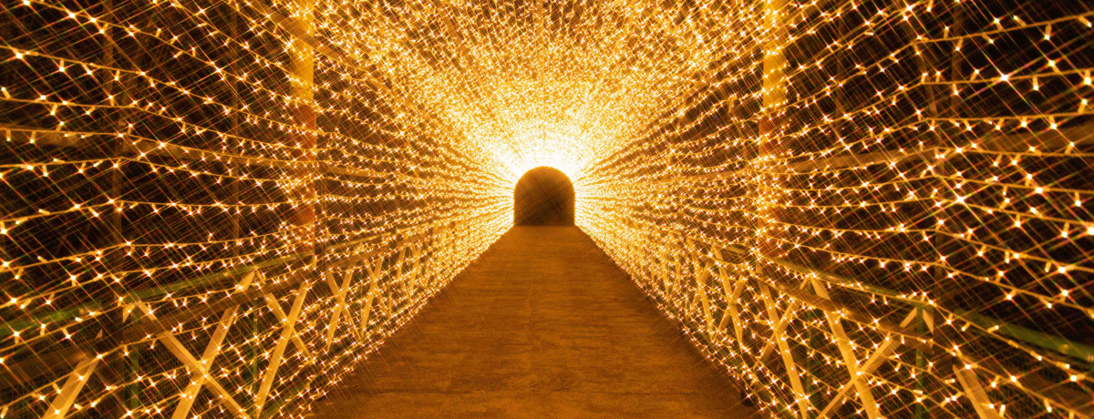 yj͉ԉ΂Iu݂낭̗ṽC~l[Vɍs