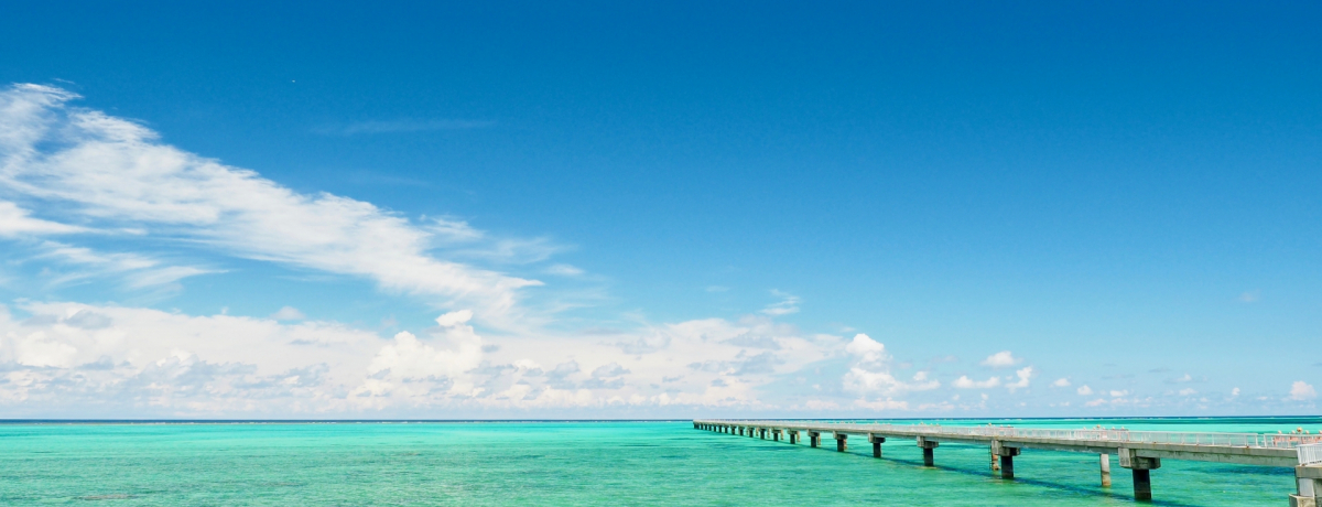 719Z[JnIq4Ђ̃_Ci~bNpbP[WƂ