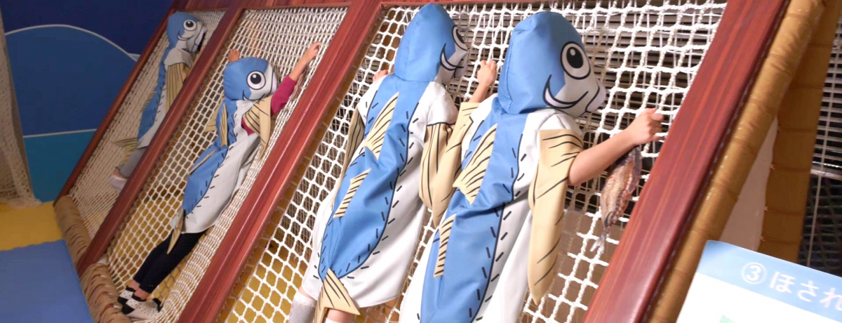 ɓEOÃV[p_CX̐lC3GAj[AIVԁEwԁEӂ̌i