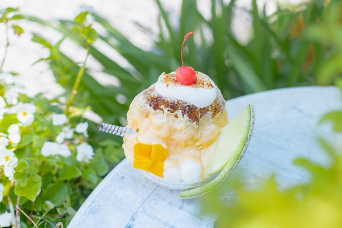 �����؁I���m�v�������u�v�����E�A�E���E�X�v�Č���ŐV����