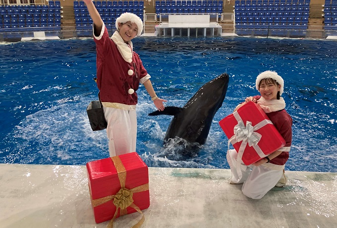 �N���X�}�X�C�x���g���ځI�A�N�A���[���h��錧���������