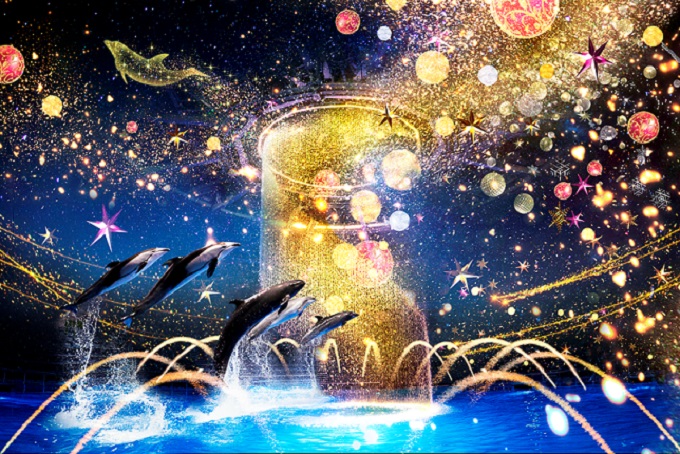 ԌI}NZ ANAp[NiuNAKED STAR AQUARIUMv