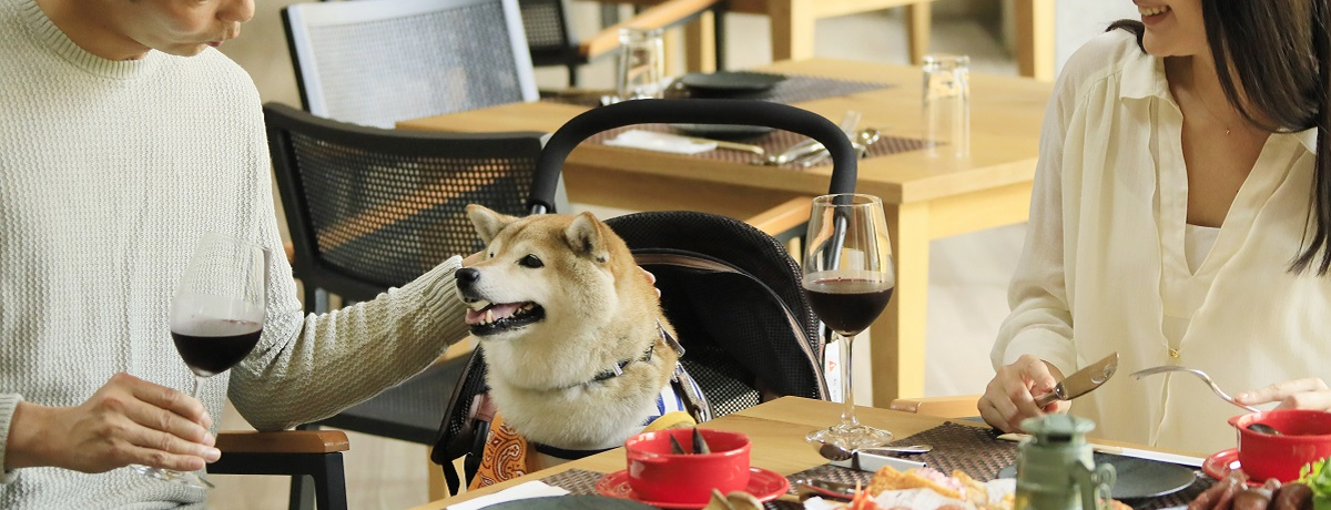 3NLOIƂK[fkywith DOGS3Ttvo