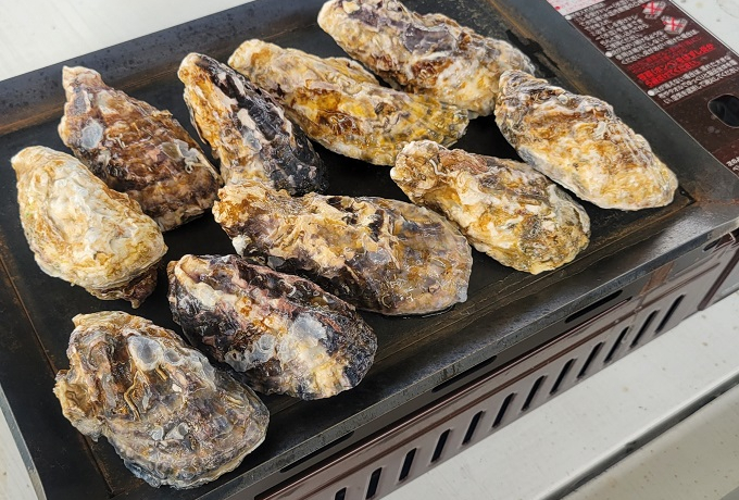 �����ƃr�b�O�ɁI�W�H���^�R�X�e�ŏĂ����y�H�ו�������{��