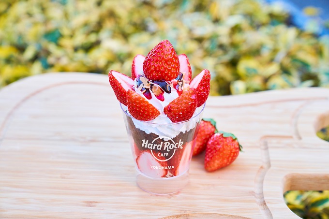 ߋőḰIlԃKqɂłtFXeBoJ