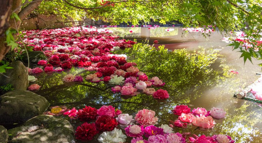 46���Ԍ���I���E�ő勉�E���u���Ή��O���v�����N���I�[�v��