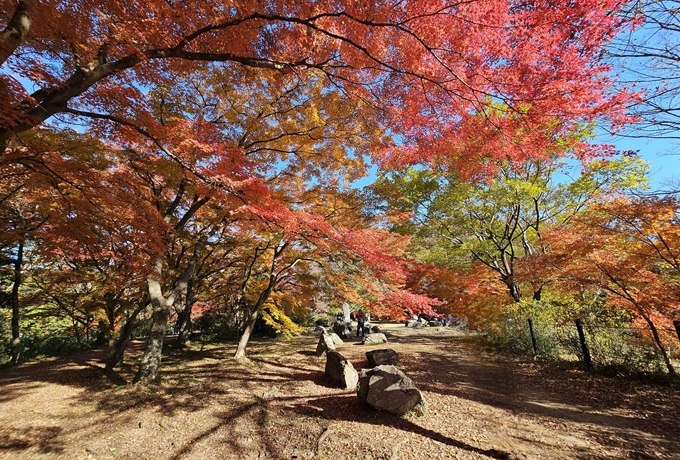 gtnOyIʁuRkJgt܂vNJ