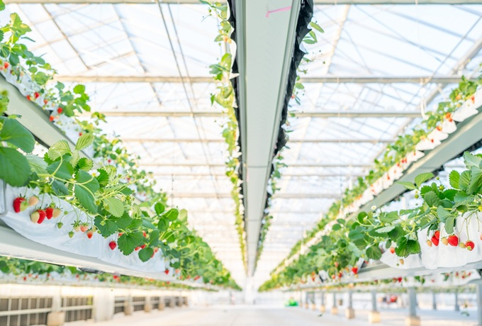 �N���N�n���c�ƁI���l�u�V��̂��������v�����V�[�Y���̉c�ƊJ�n