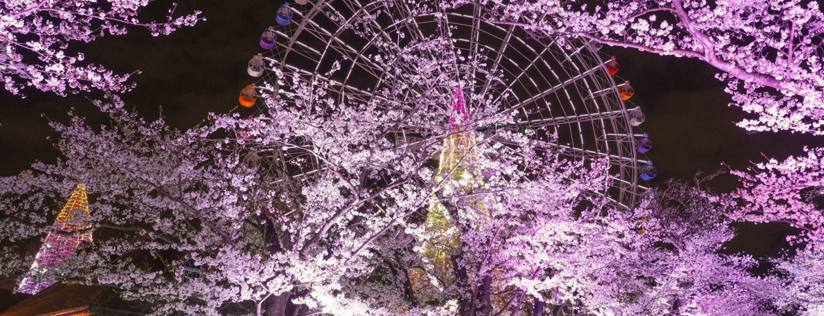 ���̃��C�g�A�b�v�~��ΐF�C���~�l�[�V�����u����W���G���~�l�[�V�����v�J�ÁI