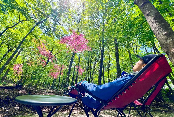 �Ȗ؁EYellow Base���~���U�E���g���[�g�ߐ{�փ��u�����h ����ɏ㎿�ȑ̌����I