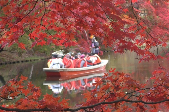 弘前城菊と紅葉まつり