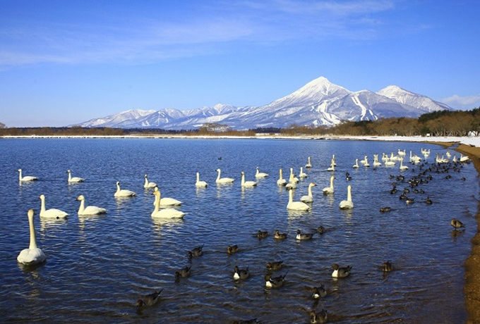 ő5,000~IuȂ킵hIv\tX^[g